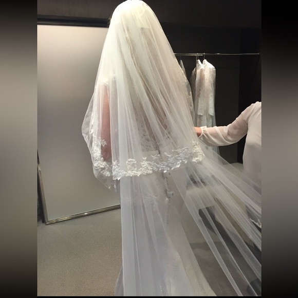 Pronovais Vicenta Wedding Dress Size 4 - Picture 8 of 8